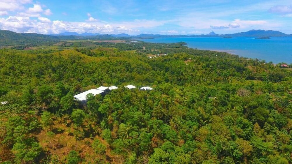 Hotel Windy Willow's, Earth, photo