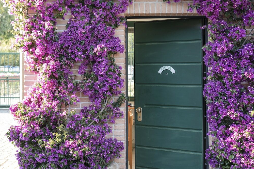 Фото La Madonnina Village Resort