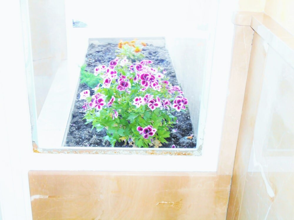 Фото Martin House & Baño Privado