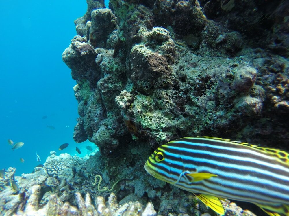 Фото Season Paradise