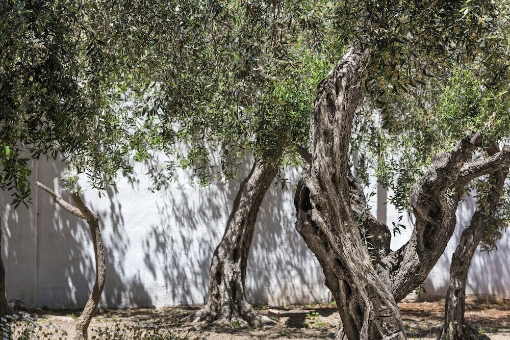 Фото Giardini Mon Plaisir