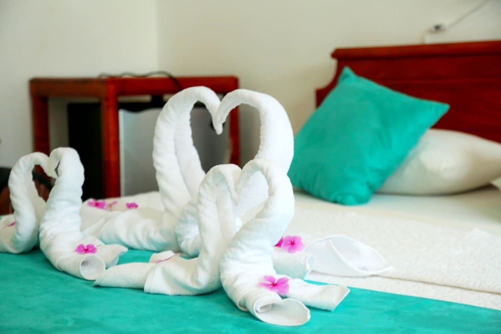 Фото Hostal Sir Francis Drake