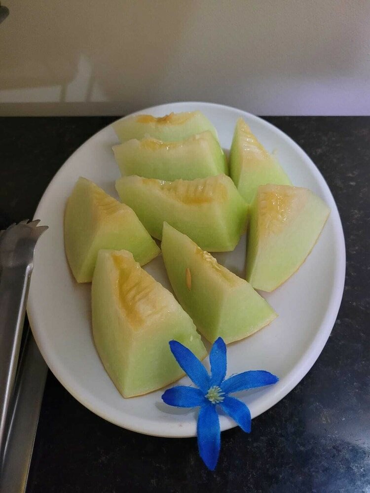 Фото Pousada Michele