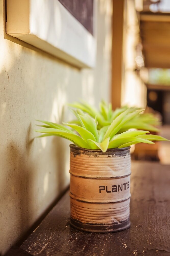 Фото Bushveld Terrace Hotel on Kruger