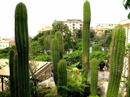 Гостиница Bed and Breakfast Le Palme в Агридженто