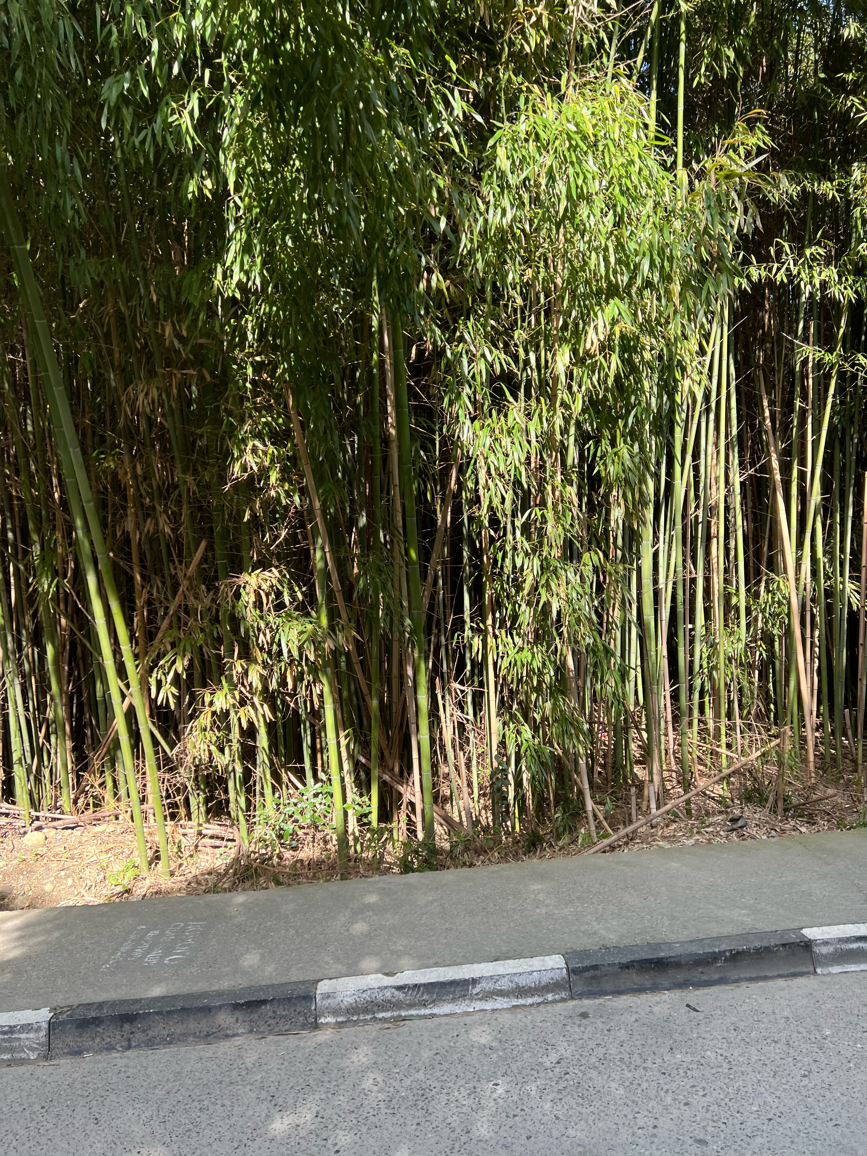 Фото Оплот Апартаменты Сорренто Парк