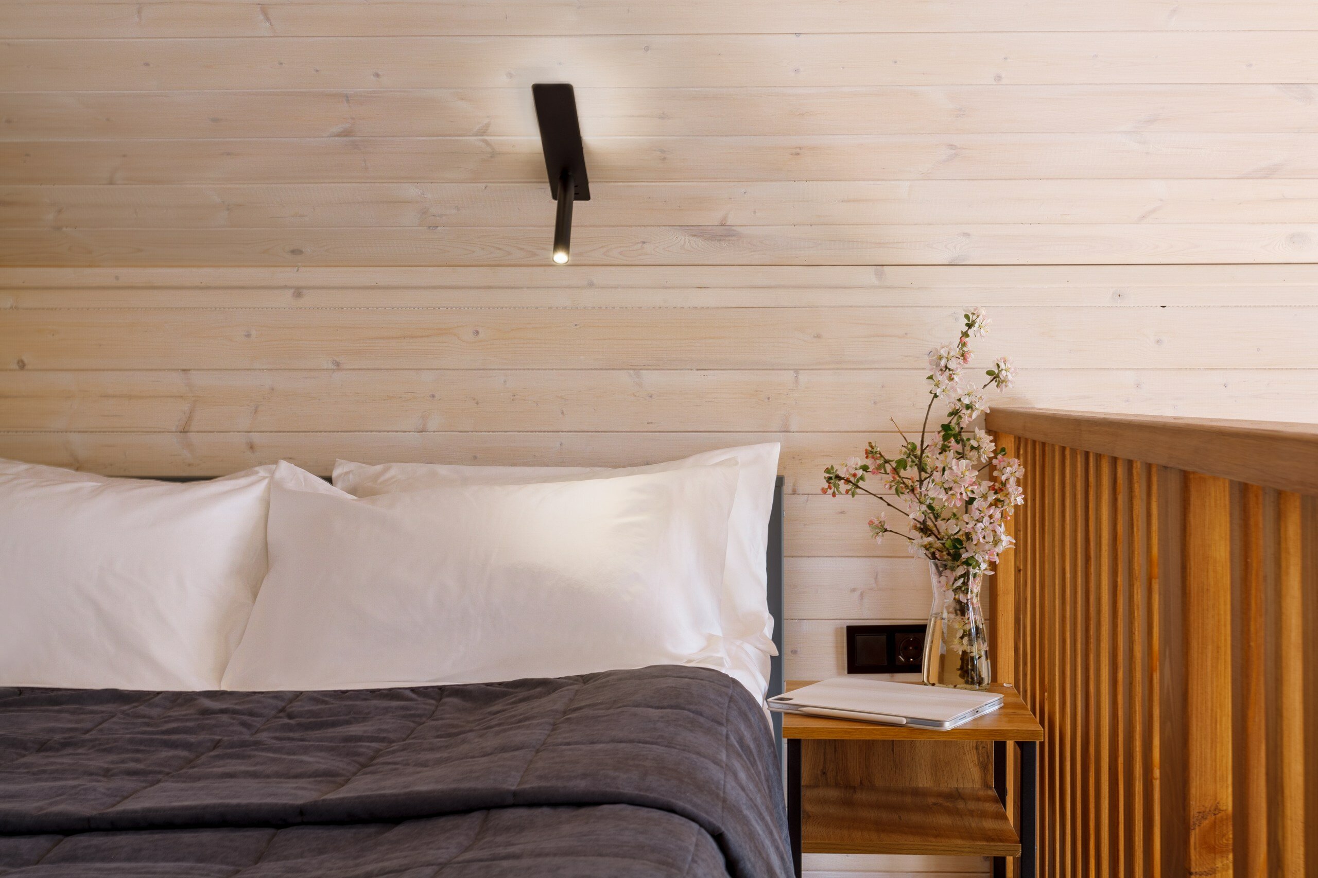 Фото 8 Сосен