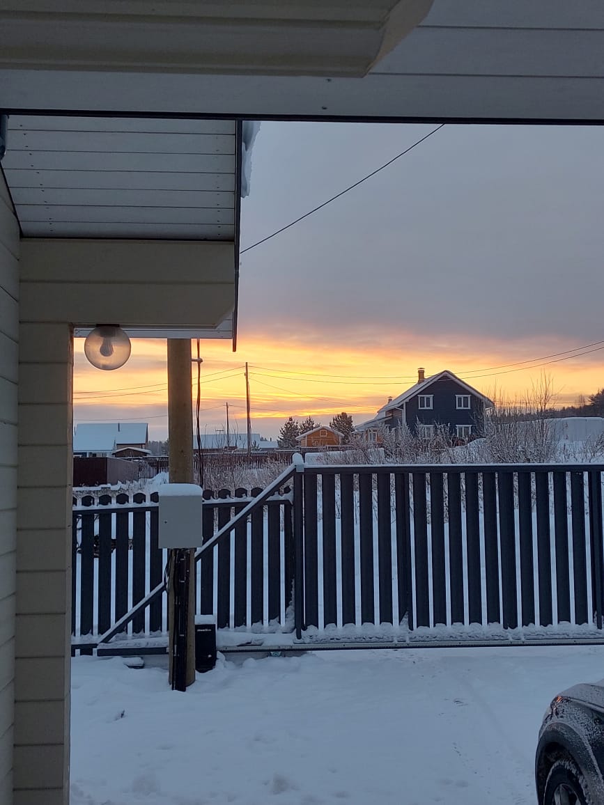 Фото Таволга