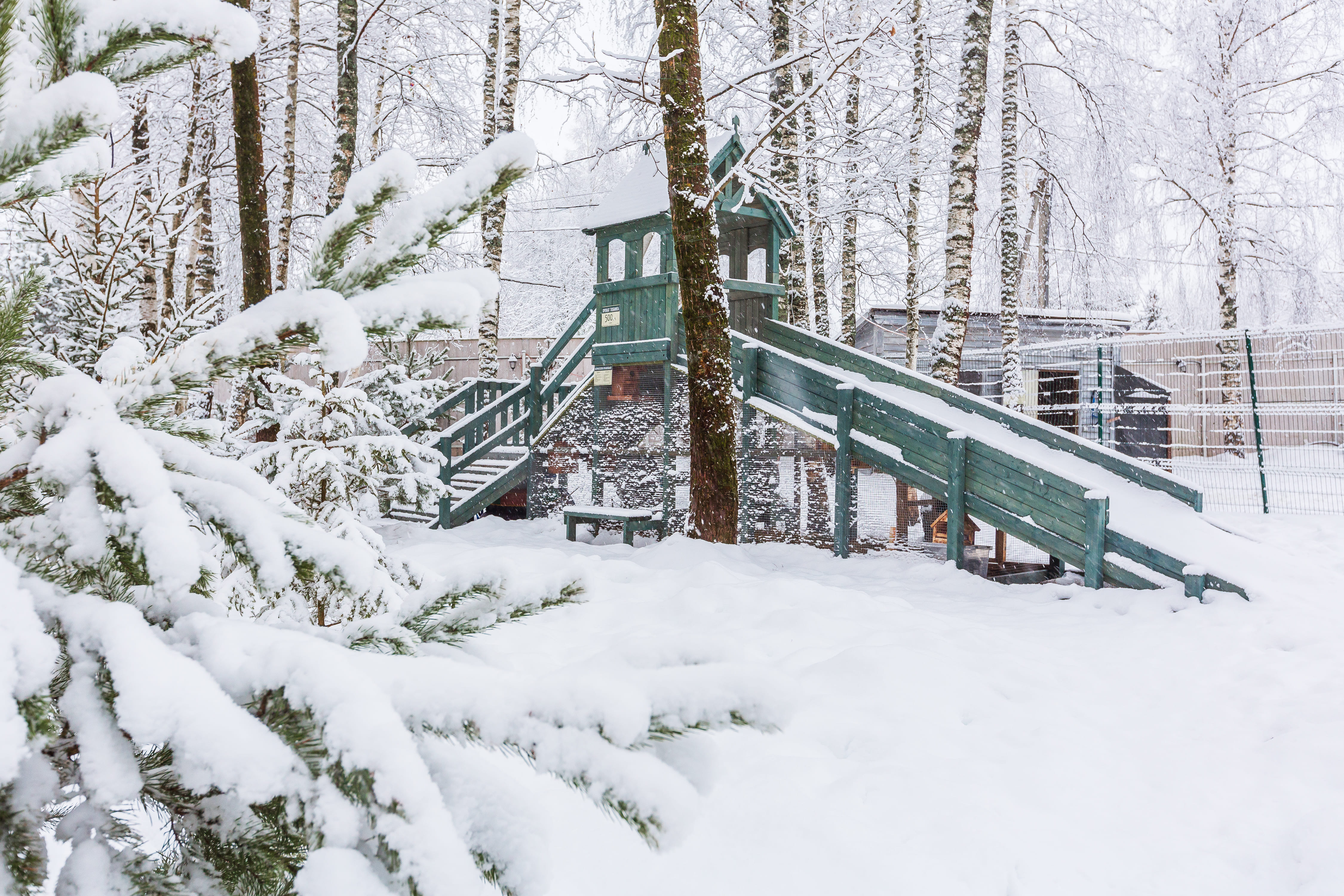 Фото Сканди хаус