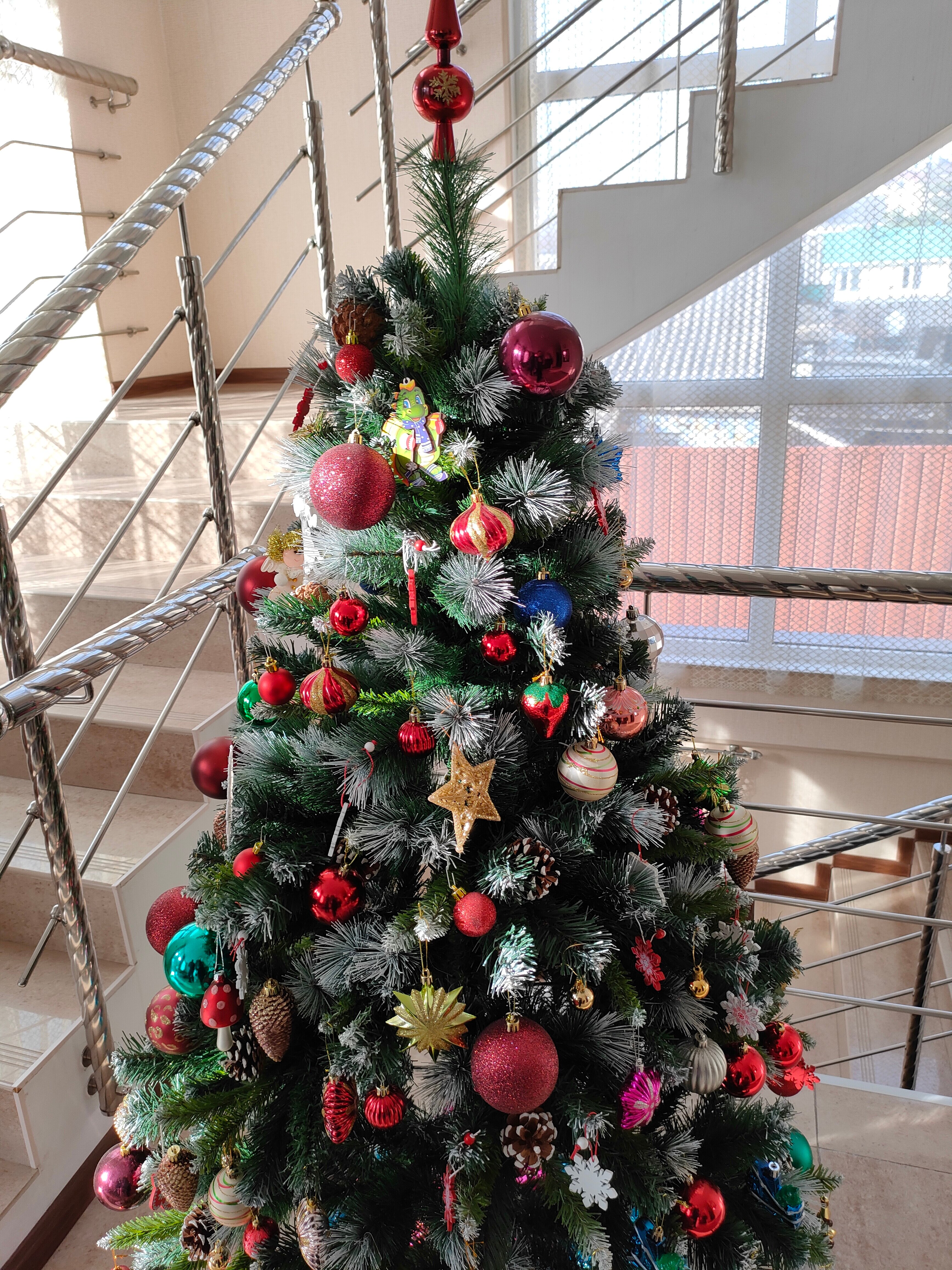 Фото Орион Плюс