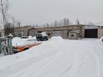 Авто-Шаман (Новгородская ул., 13Г, Псков), автосервис, автотехцентр в Пскове