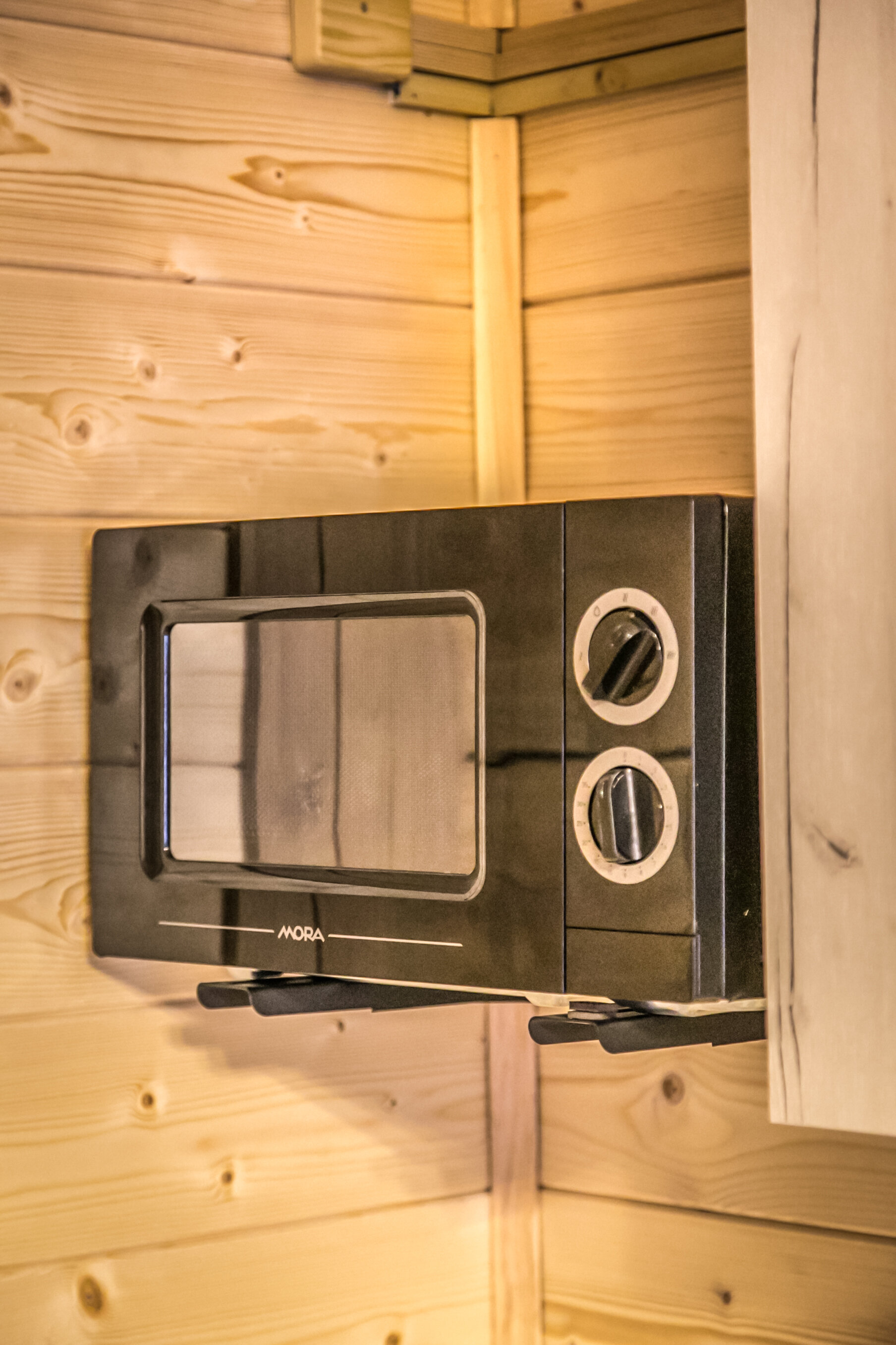 Фото Дикая Лошадь