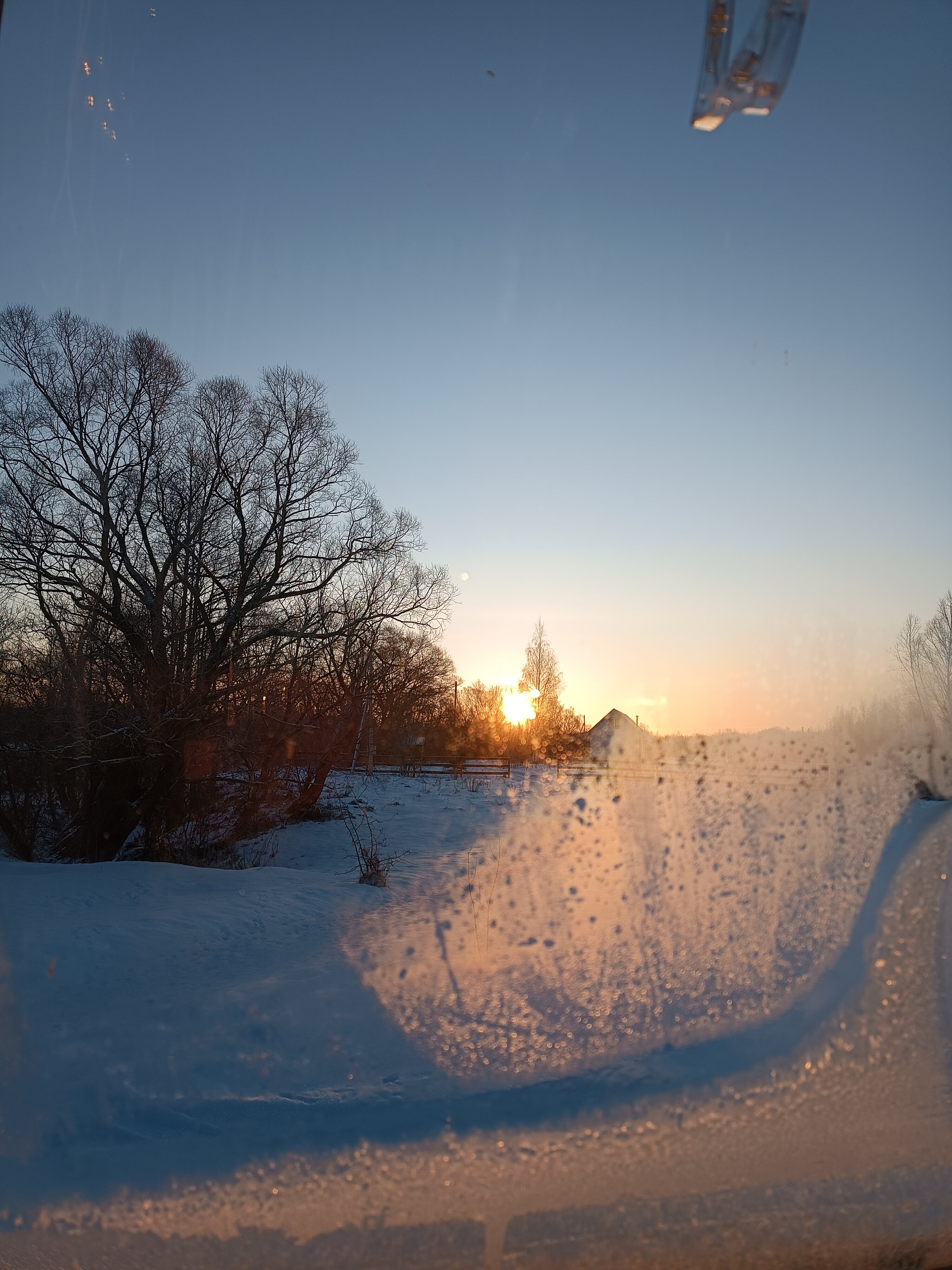 Фото Лес и луга