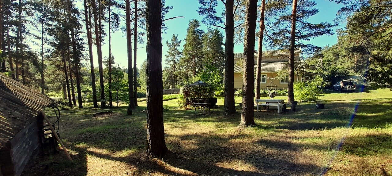 Фото Дом у сосен