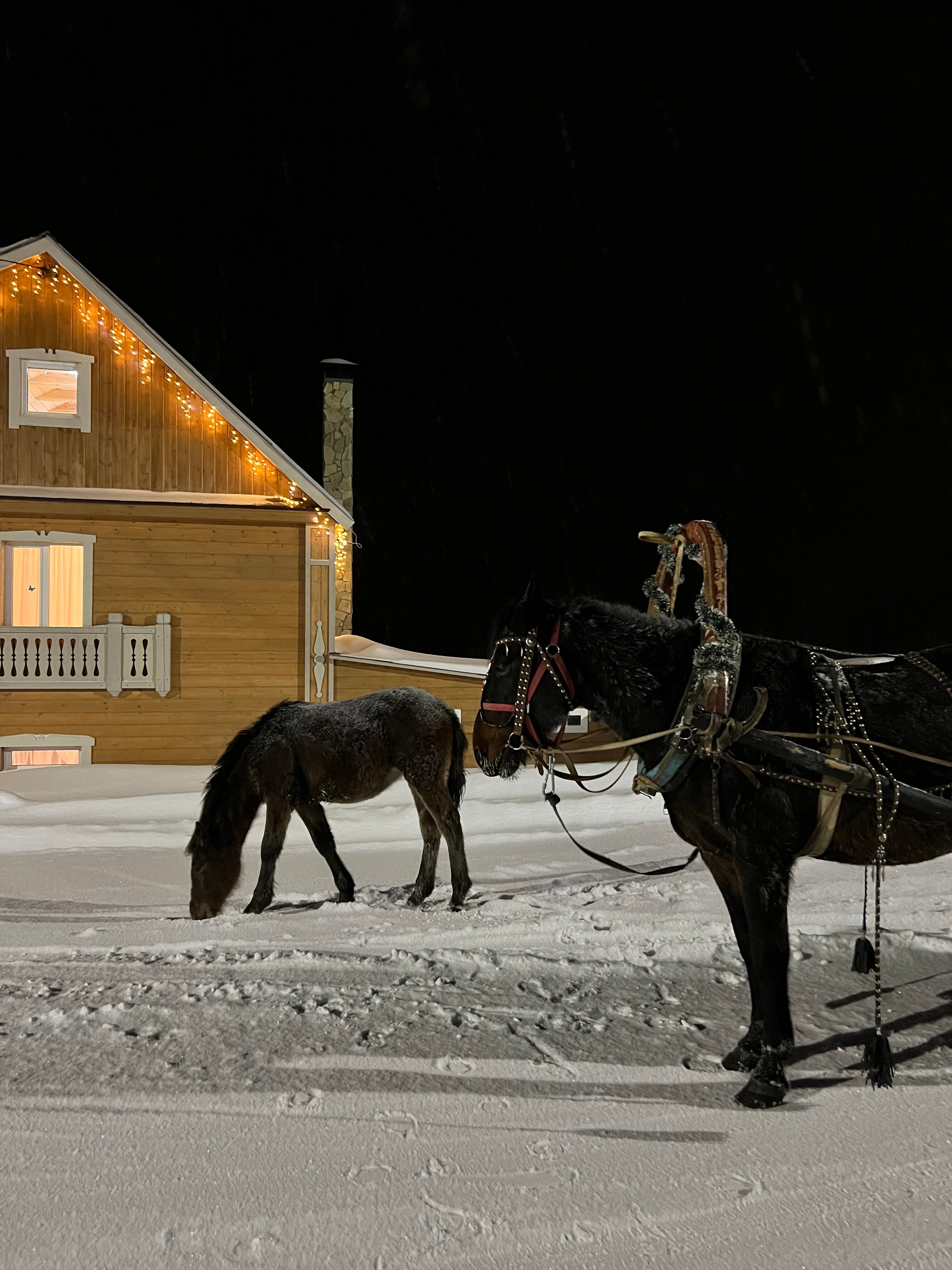 Фото Мариинские избы
