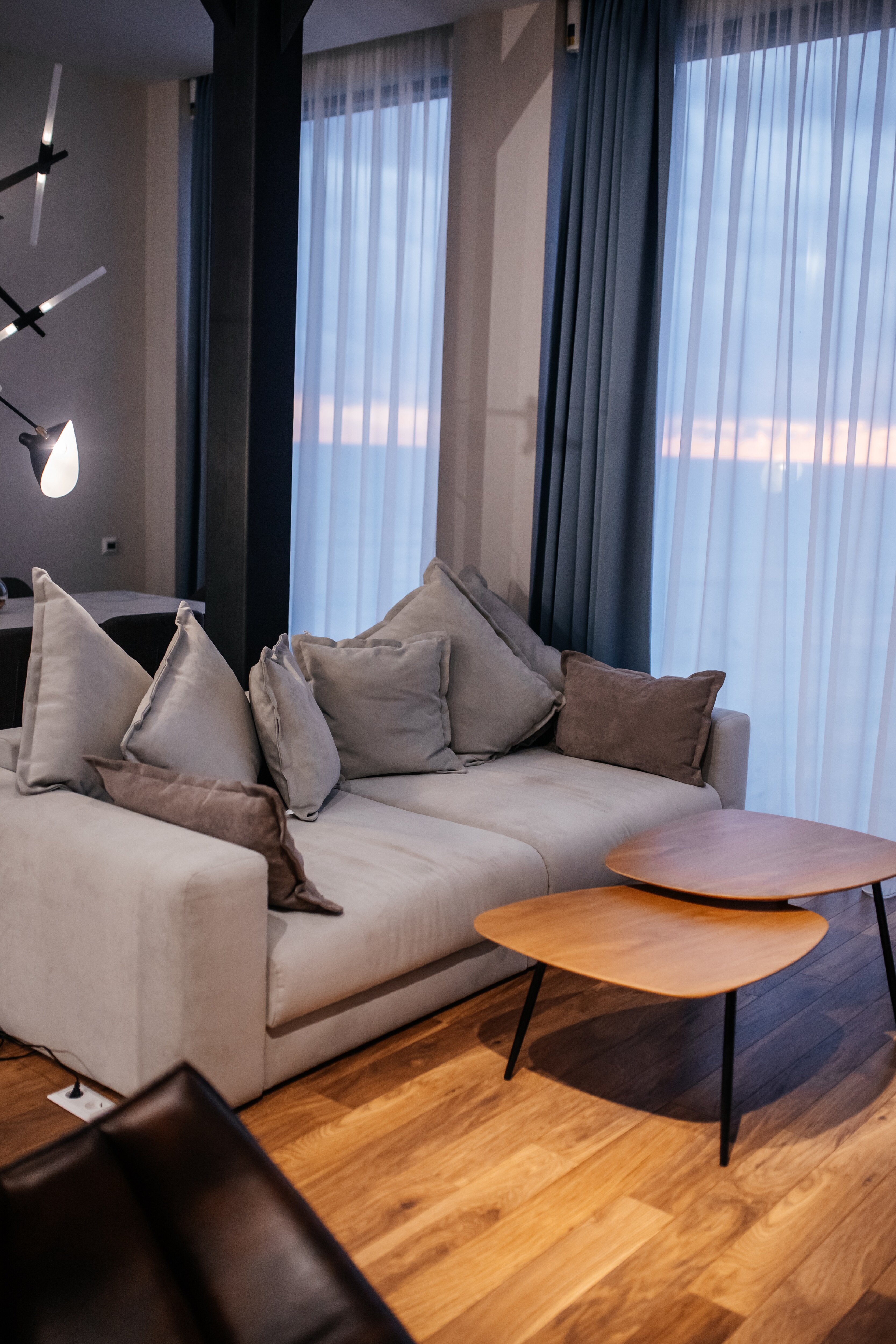 Фото Полёт Чайки