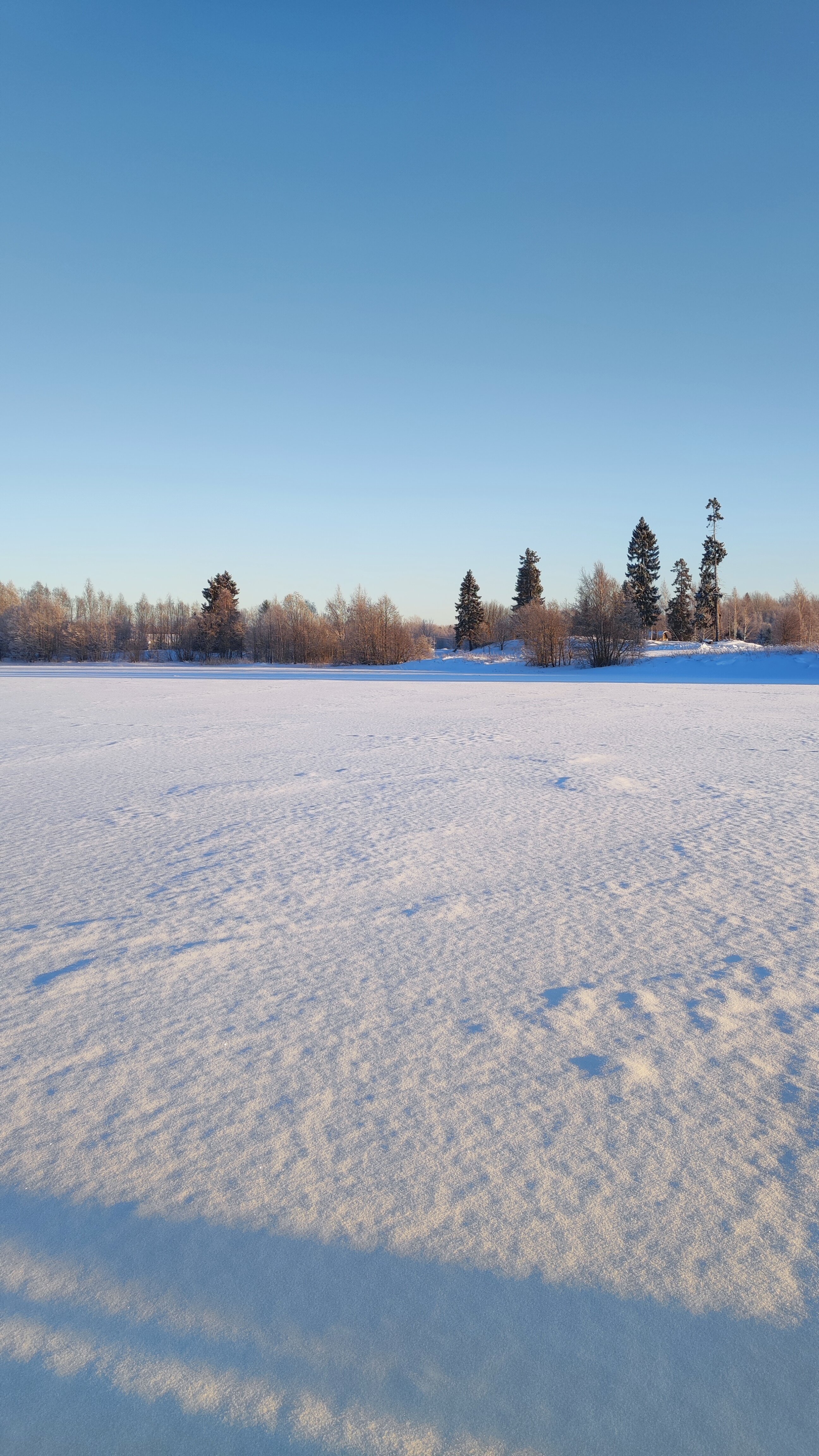 Фото Видноозеро