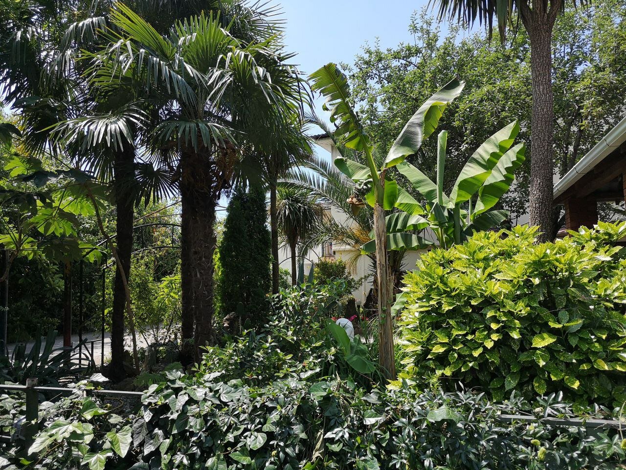 Фото Форелька