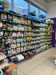 Zapovednik (Vosstaniya Street, 50), pet shop