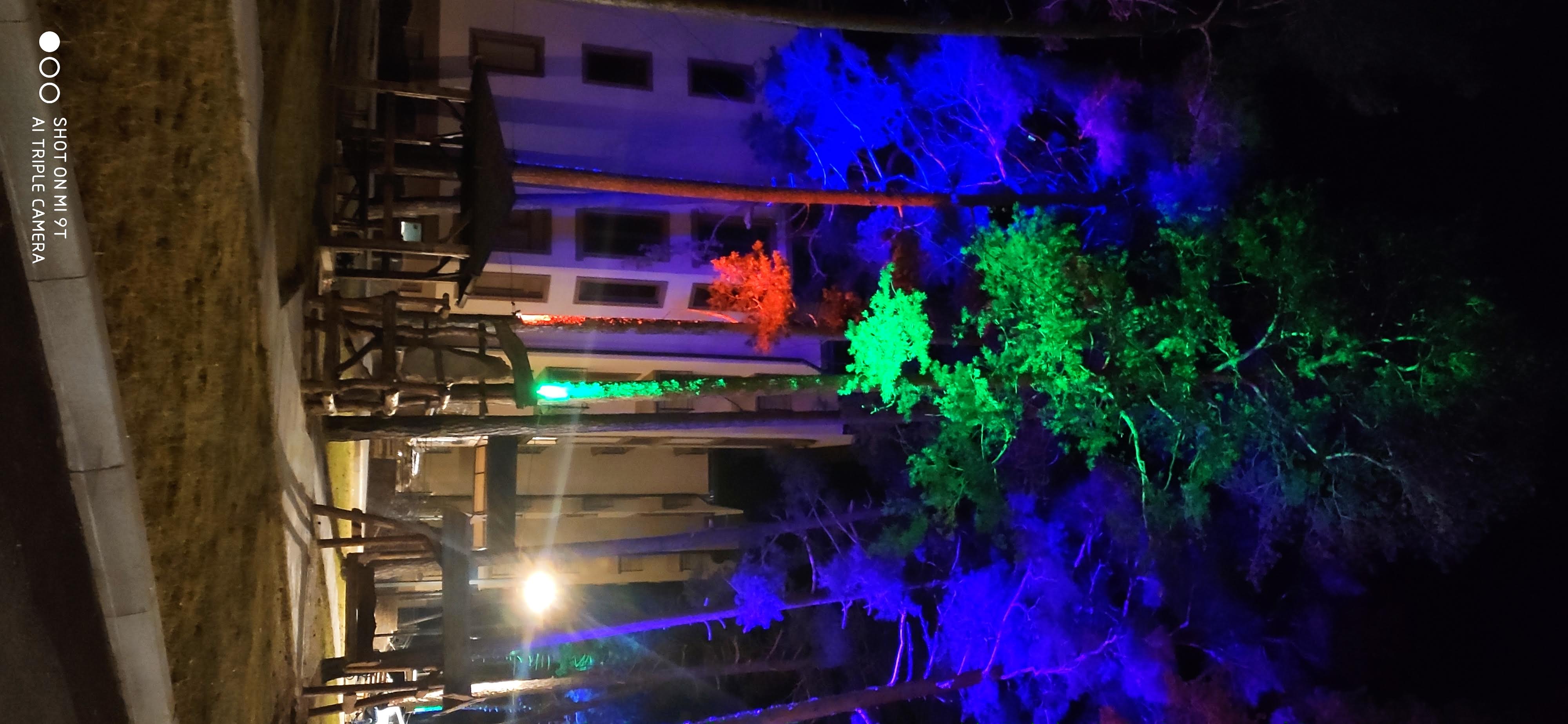 Фото Эль. Апартментс