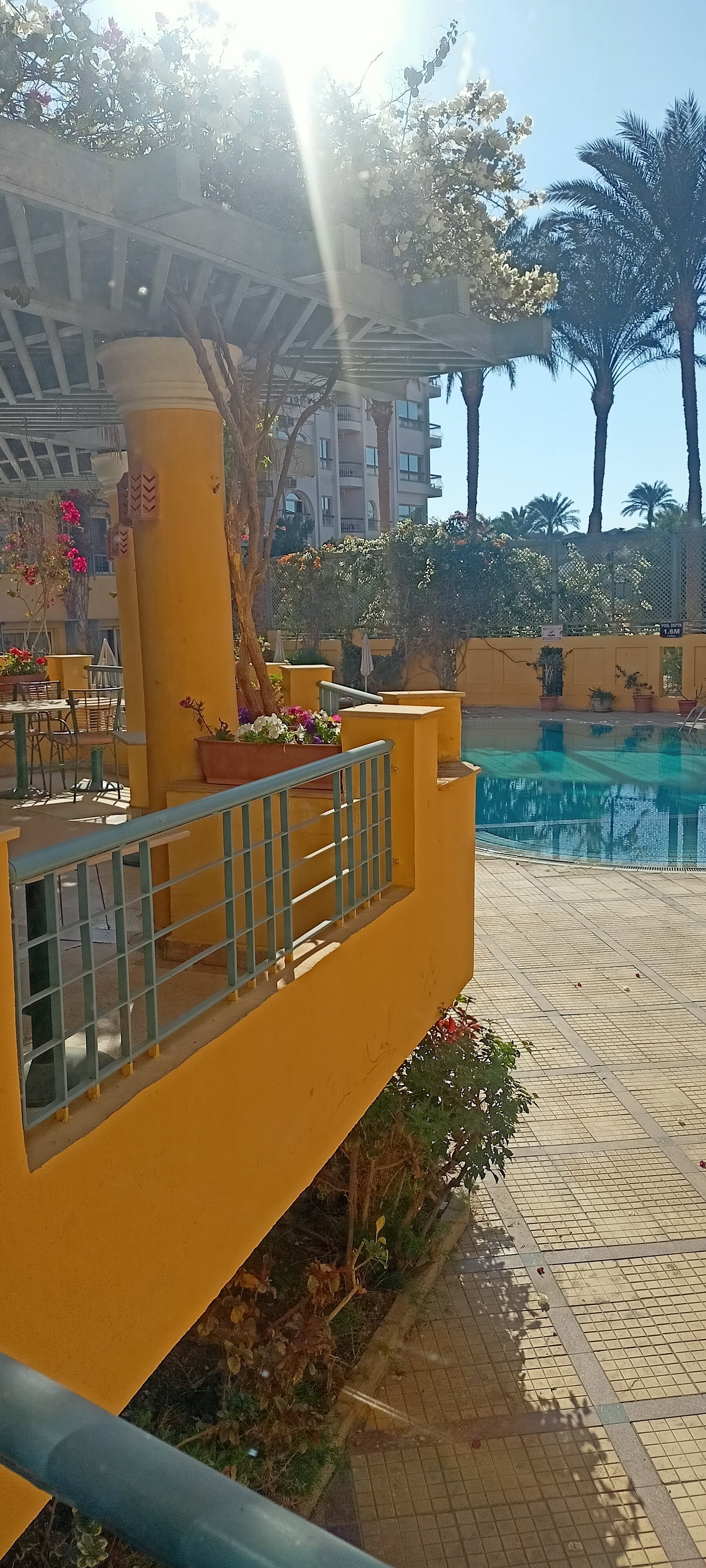 Фото Sea Garden Hotel