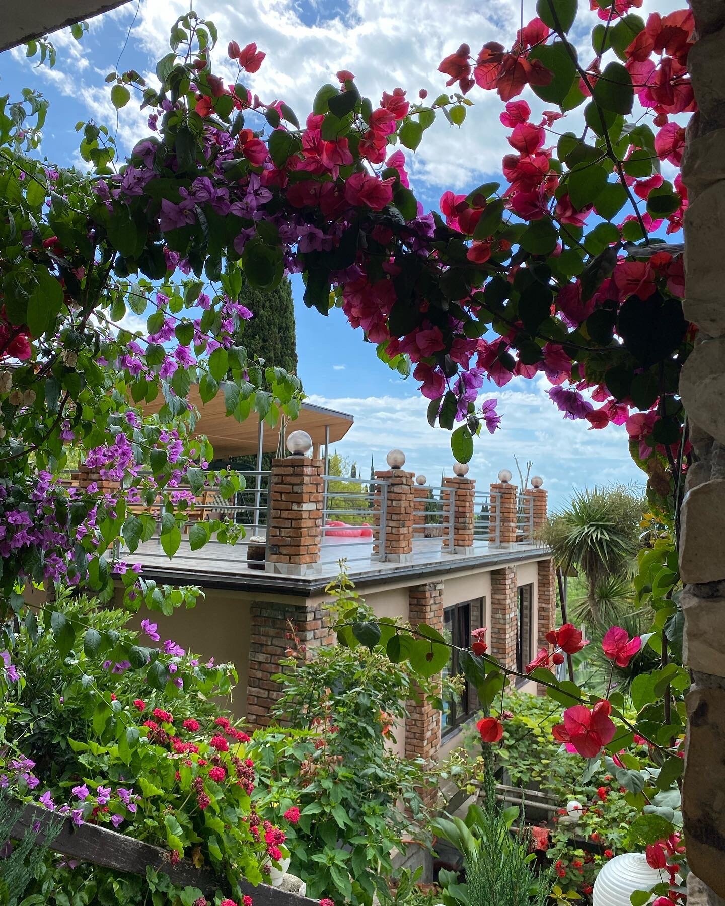 Фото Эль Платано