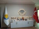 Sea Lion Turizm (Çukurambar Mah., Malcolm X Cad., No:8, Çankaya, Ankara, Türkiye), seyahat acenteleri  Çankaya'dan