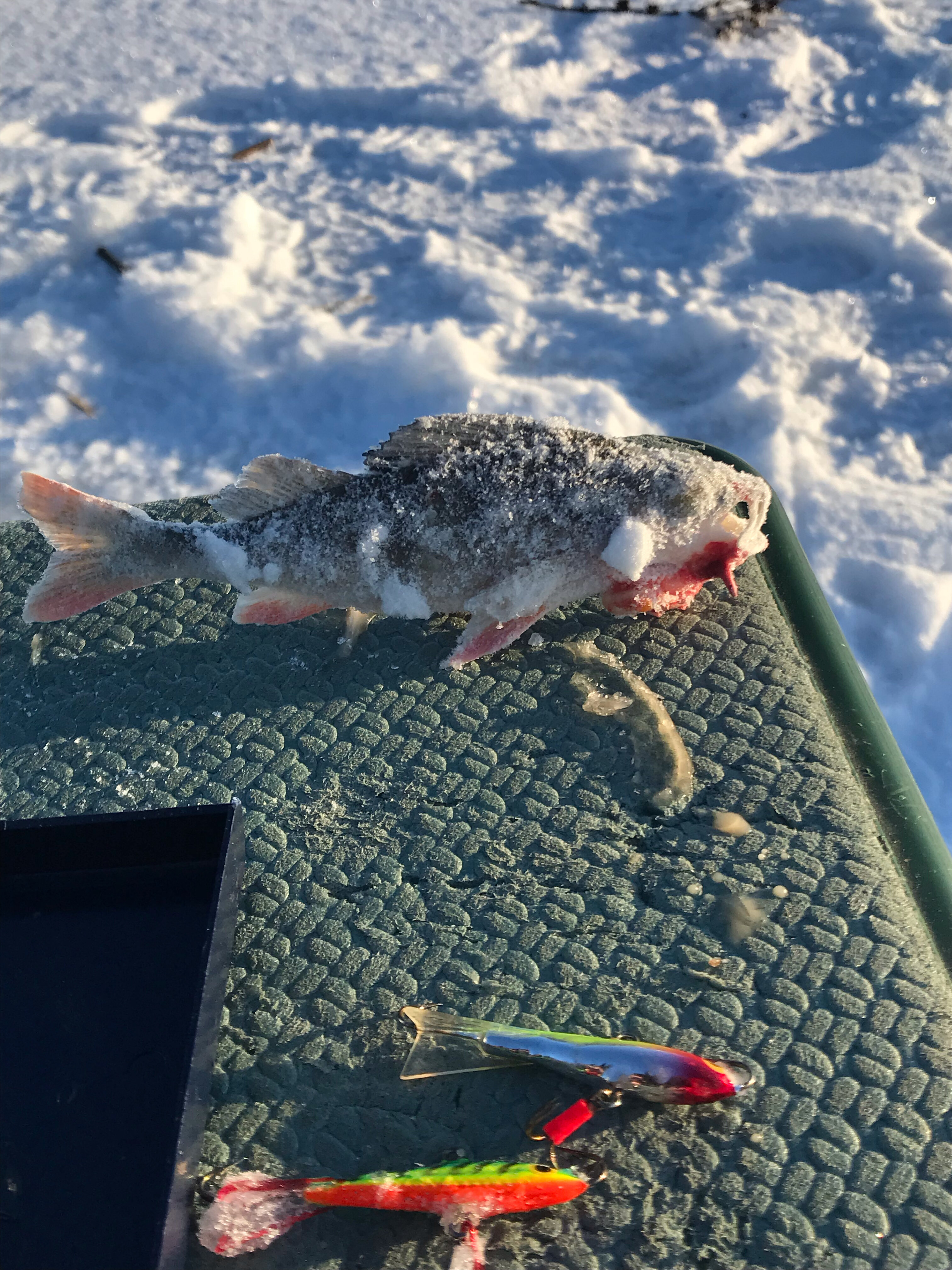 Фото Сумбулово