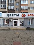 Magazin Tsvety (Yuzhnaya Street, 27) ، محل زهور