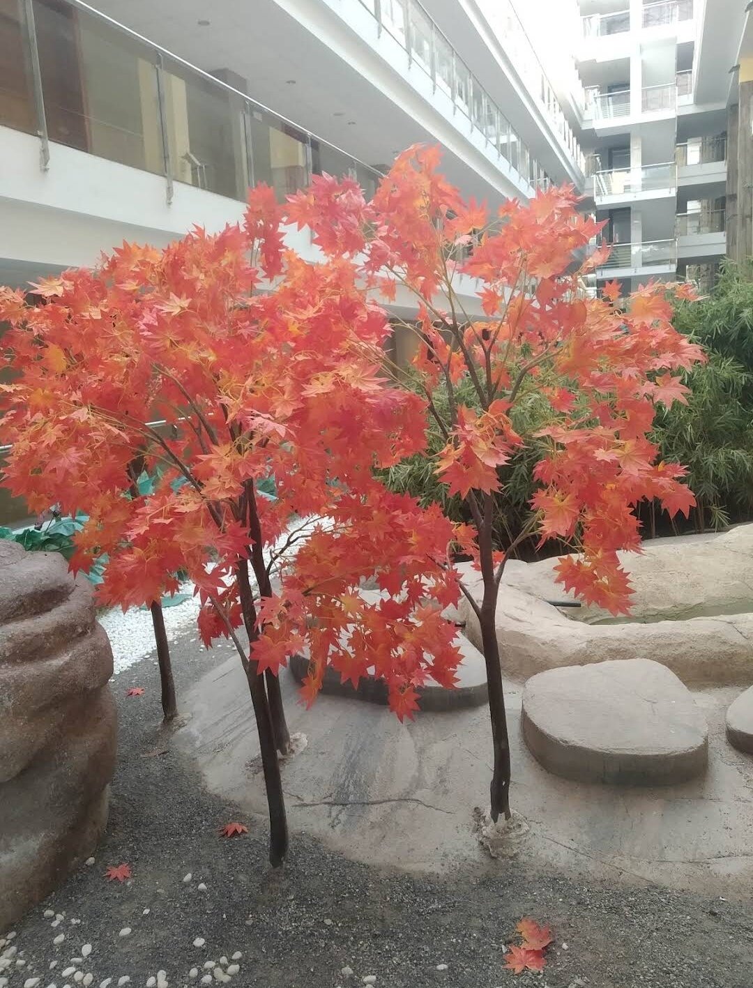 Фото Holiday World Polynesia Hotel