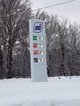Dolus-region (Moscow Region, Taldomskiy Urban District, territorialnoye otdeleniye Zaprudnya), gas station