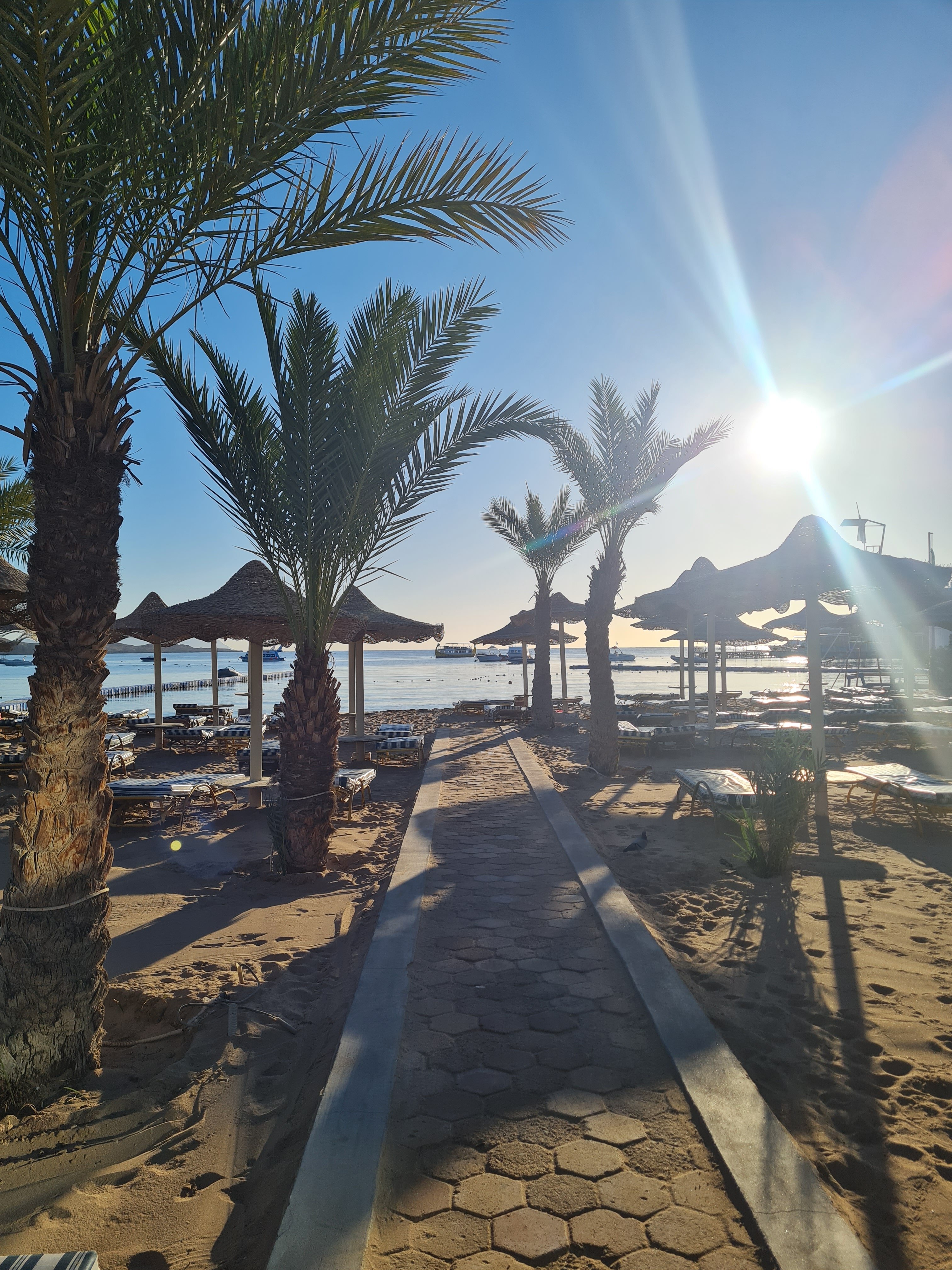 Фото Cataract Layalina Hotel