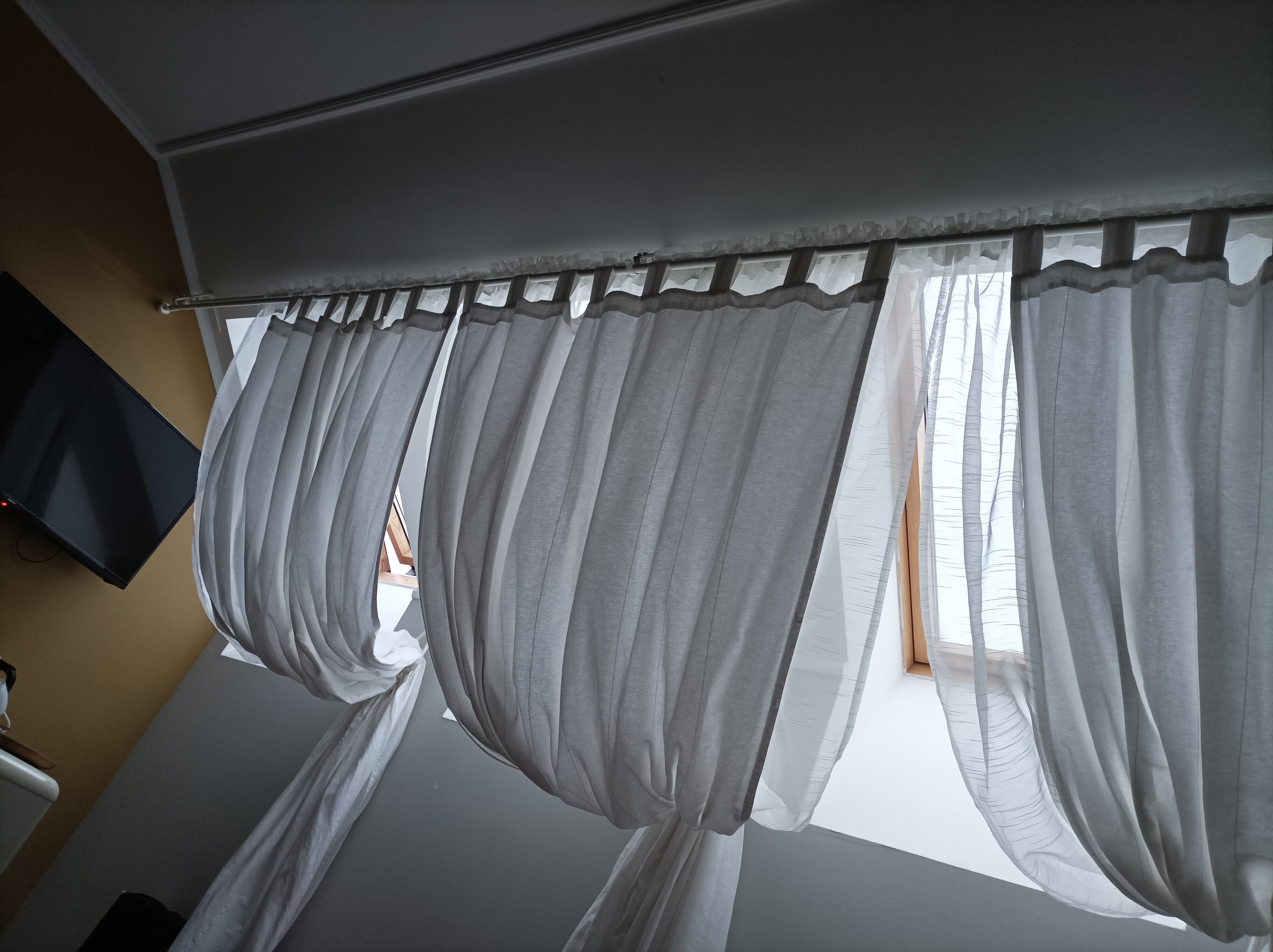 Фото Наутилус