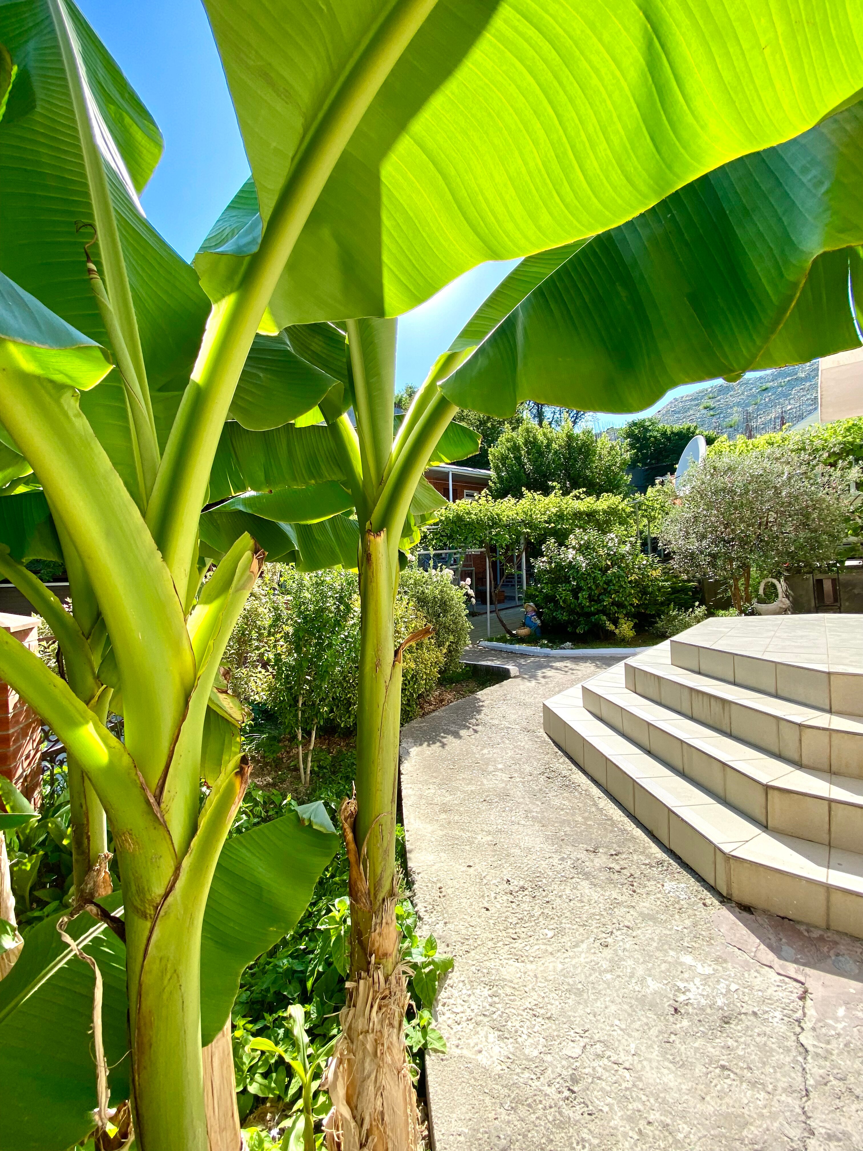 Фото Райский уголок