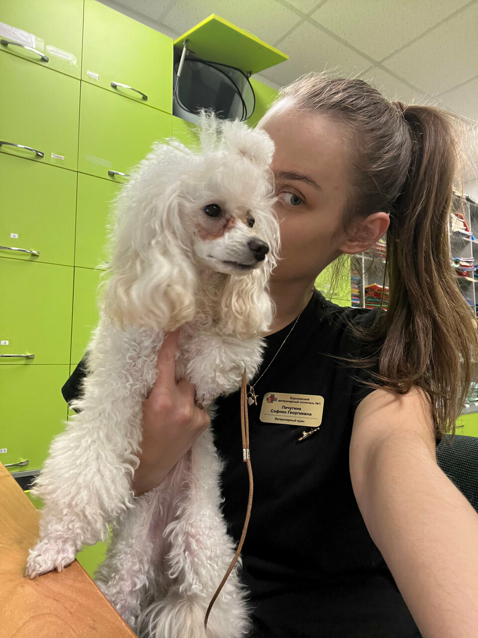 Конъюнктивит у собак Воронеж