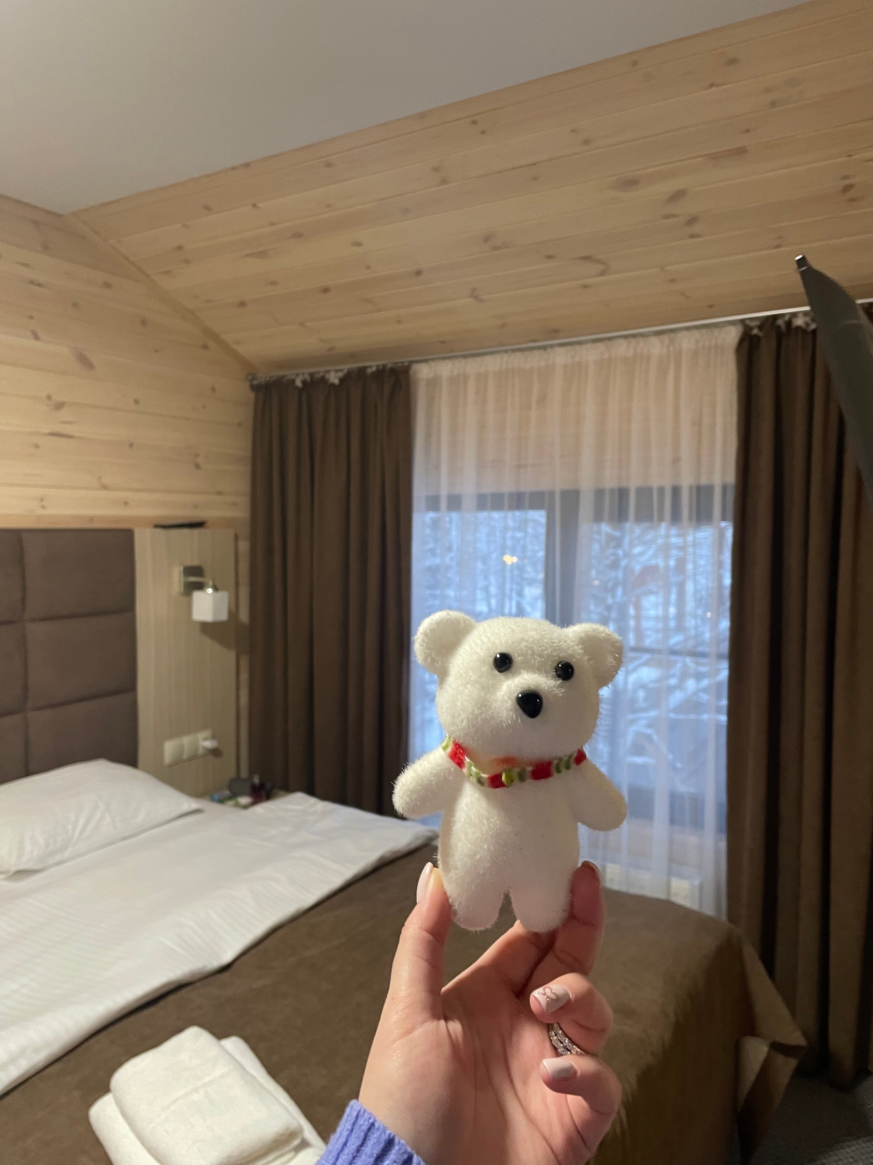 Фото Премьер Ski