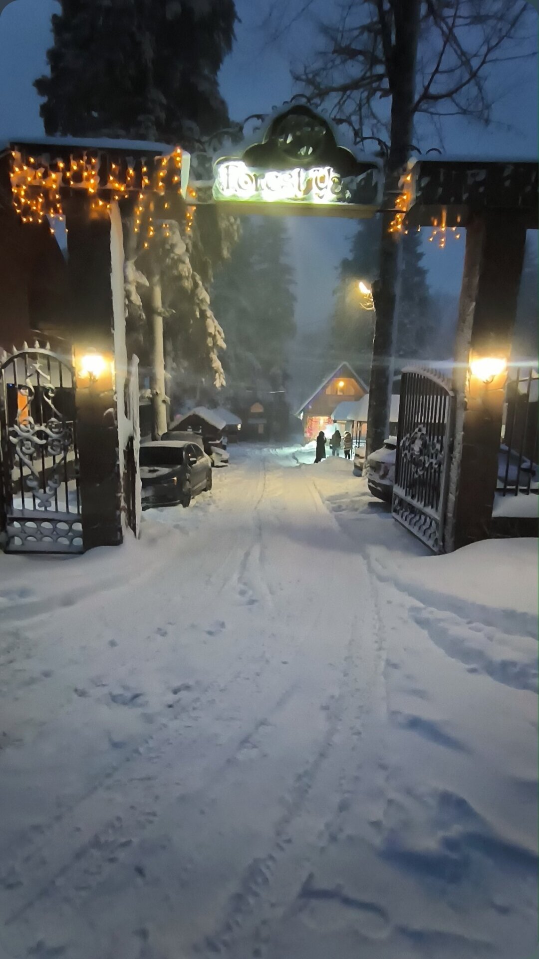 Фото Forest Yard