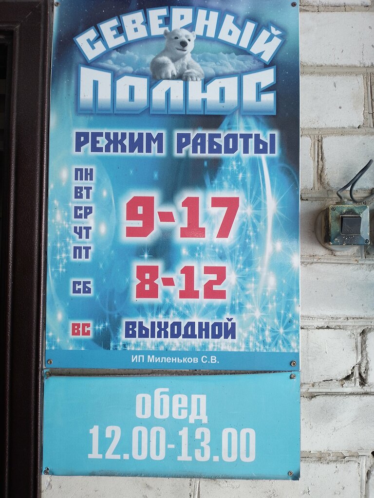 Магазин продуктов Холодильник, Ульяновская область, фото