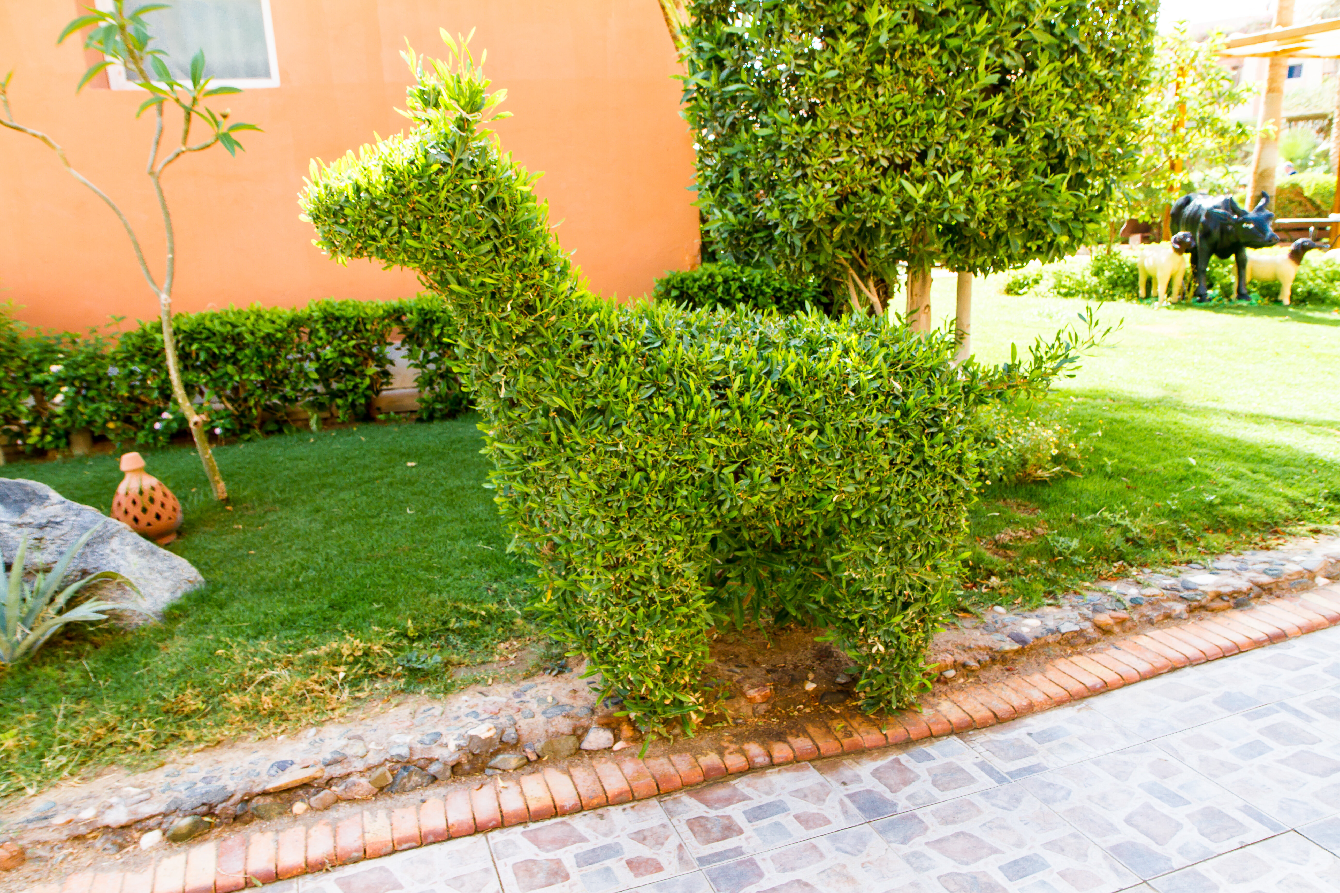 Фото Джаз Макадина