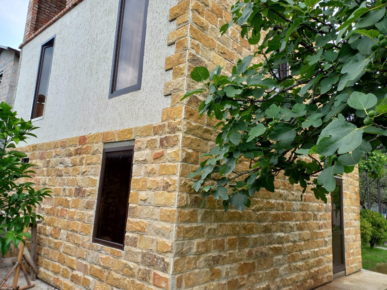 Фото Салангана