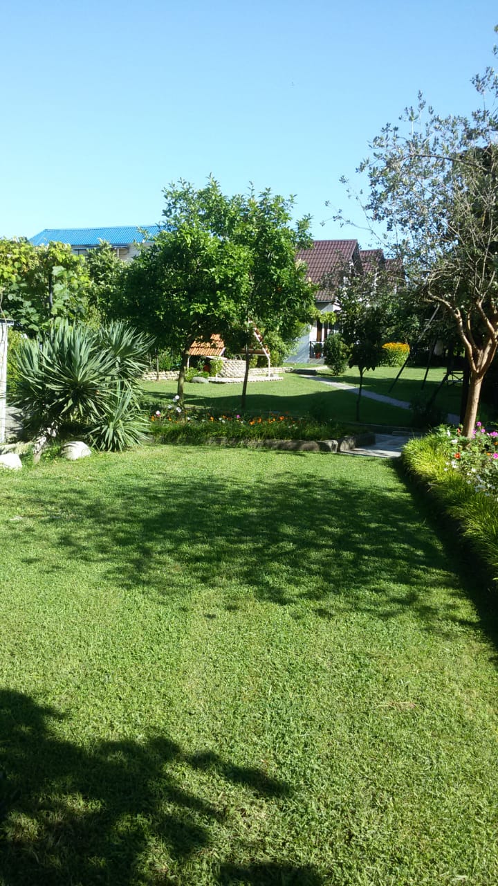 Фото Салангана