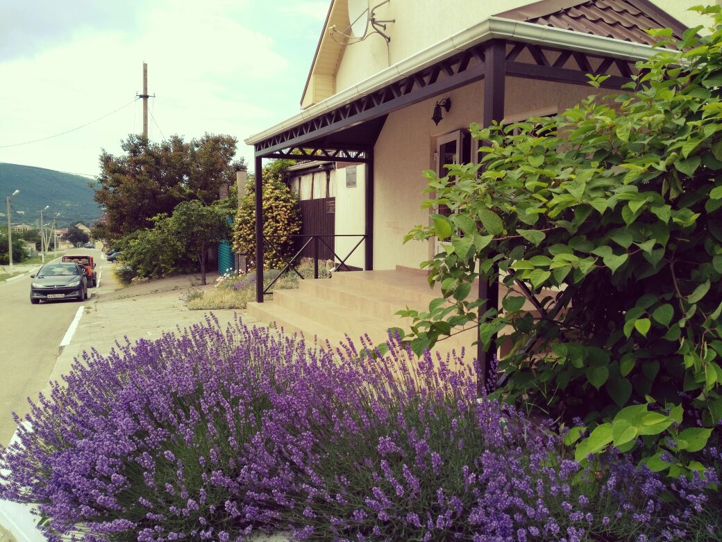 Фото Альпина