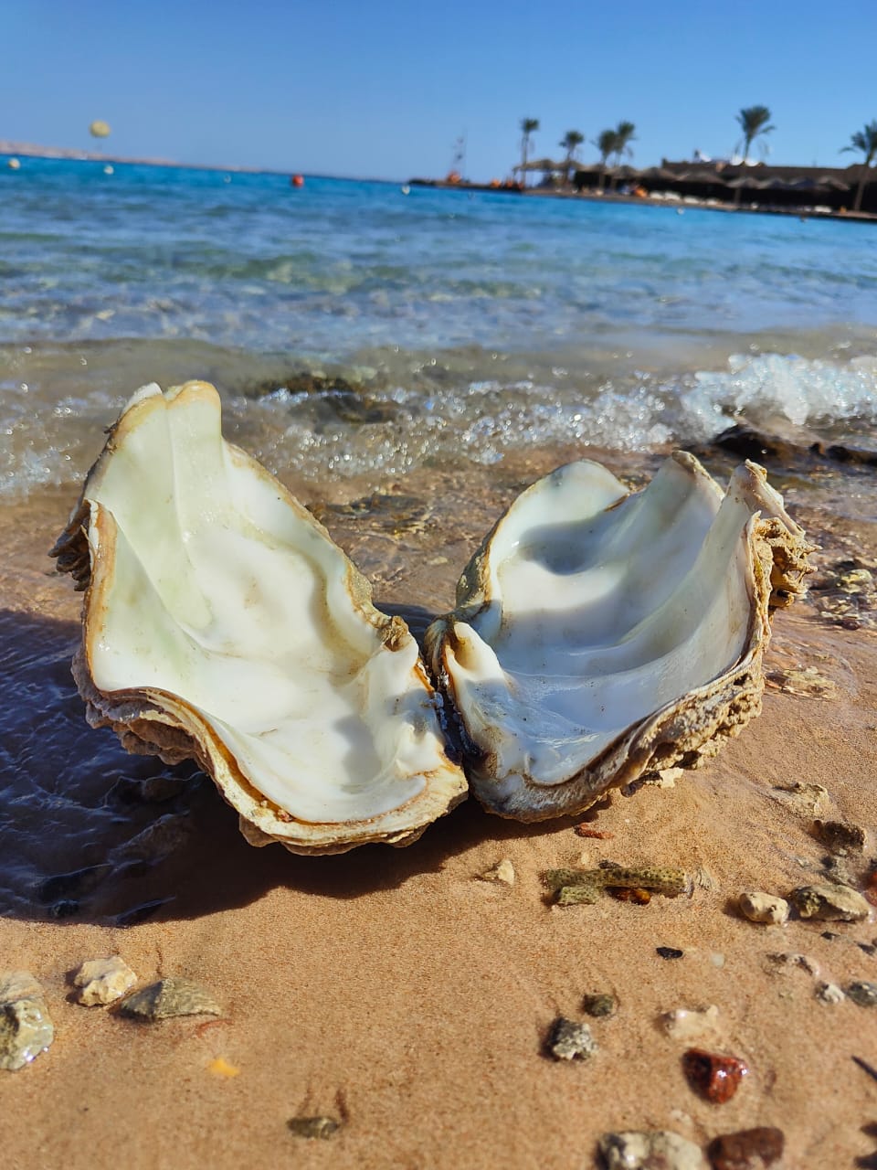 Фото Regina Resort and Aqua Park