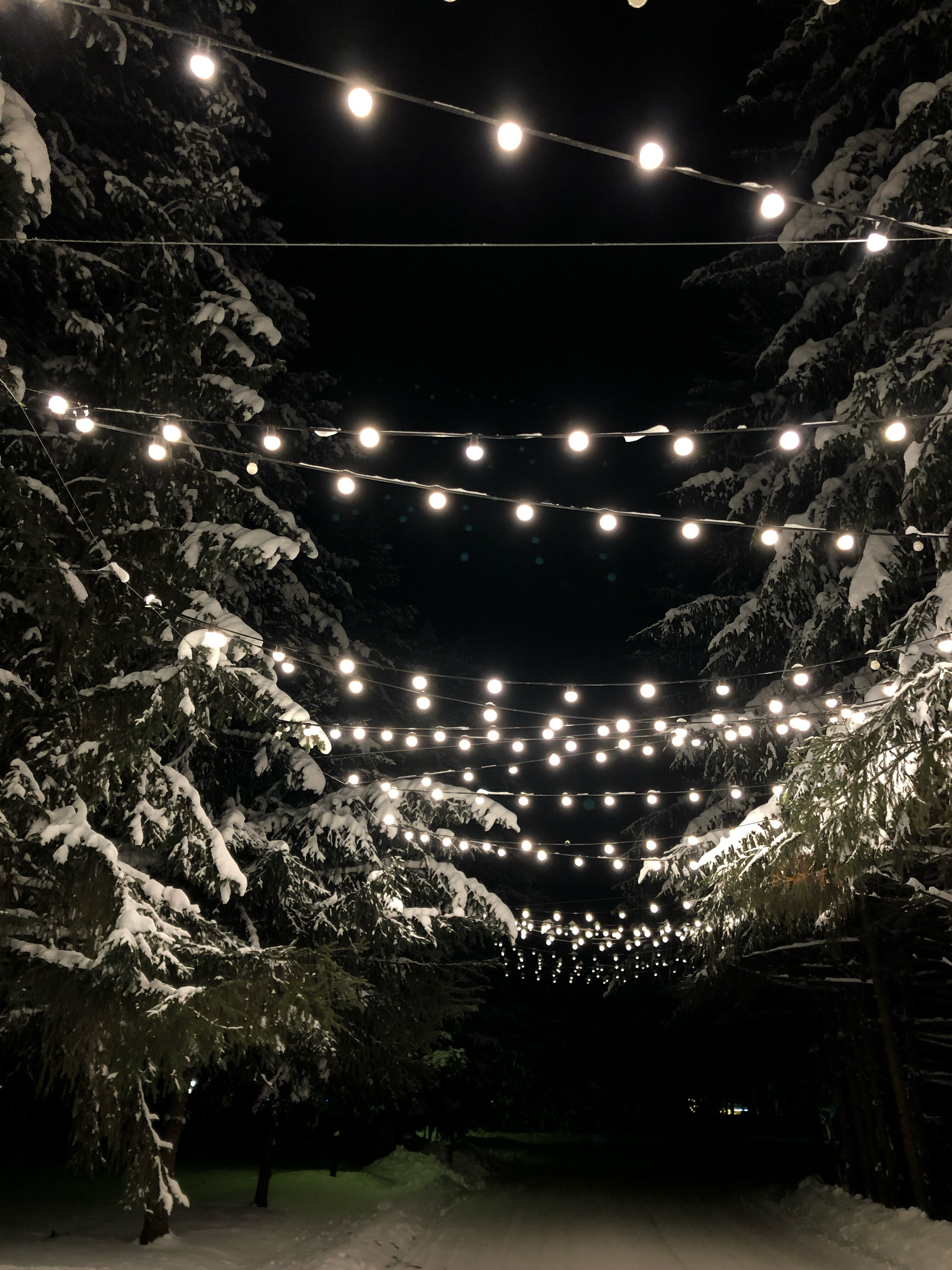 Фото Притомье