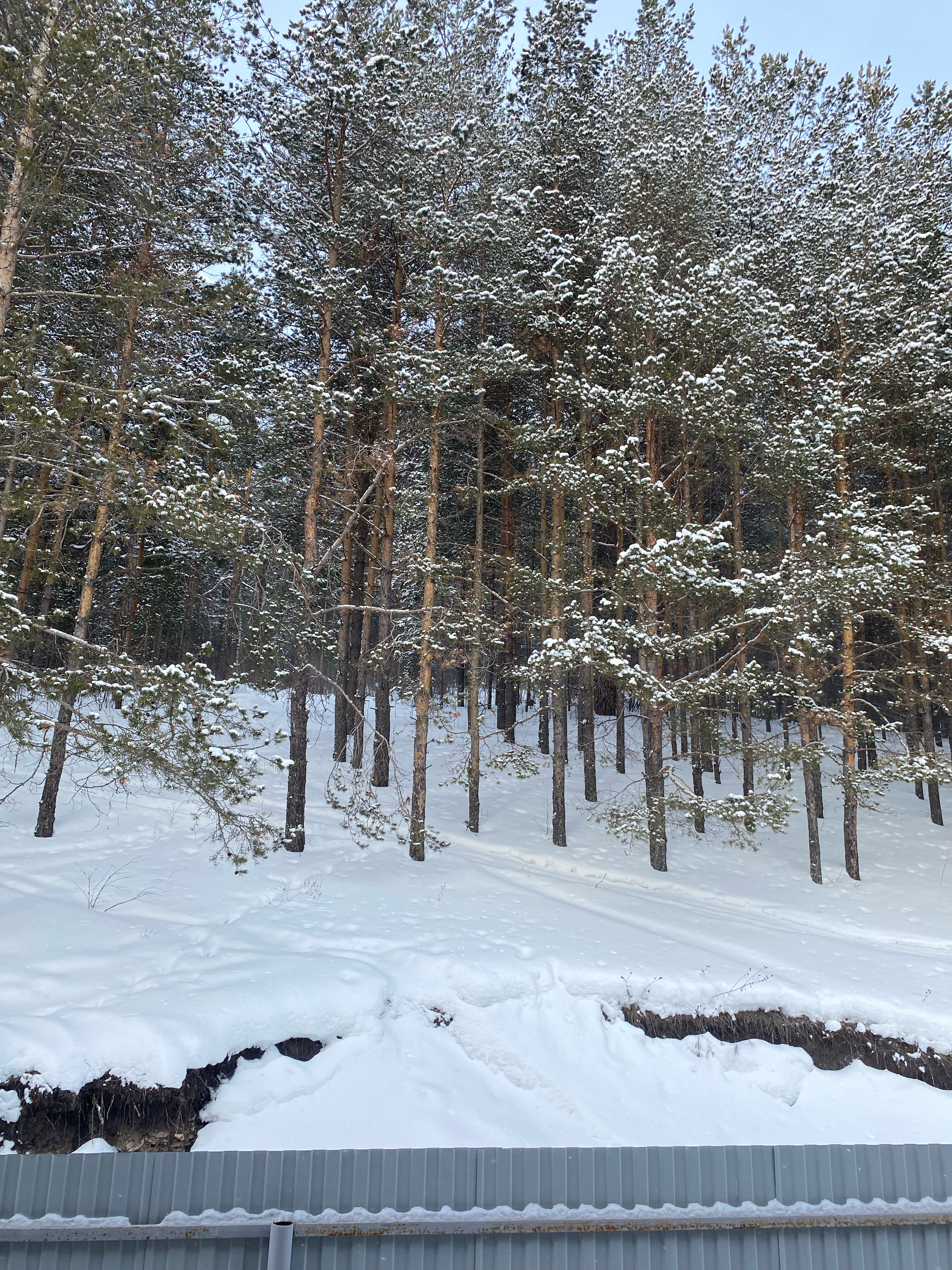 Фото Высота 806