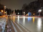 Skating Rink Theatrical (Moscow Region, Khimki, Yubileyniy Park), ice rink