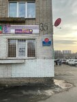 Kudryashova_av (Novozhilova Street, 35) ، شريط حاجب العين
