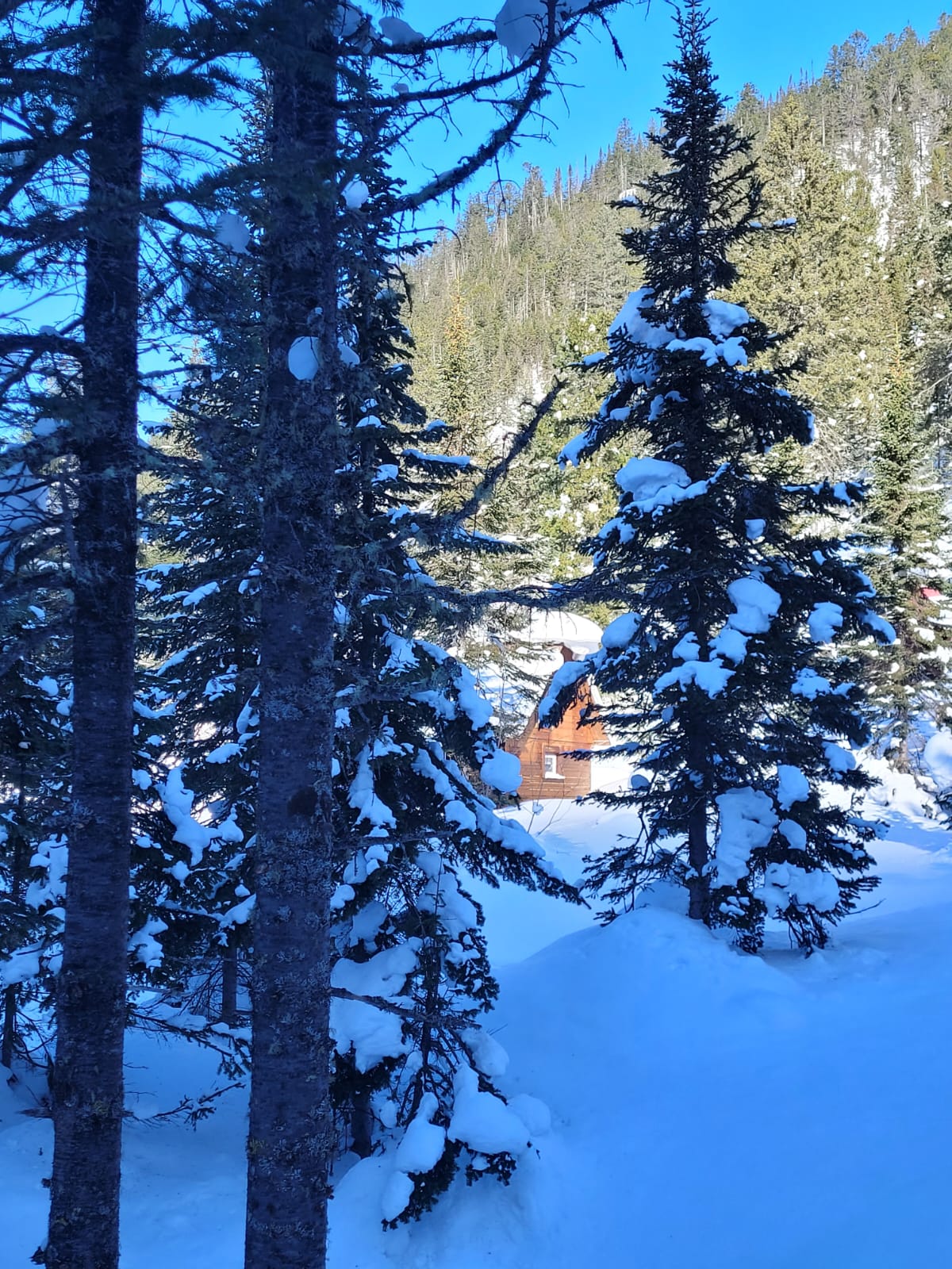 Фото Baikal Nega