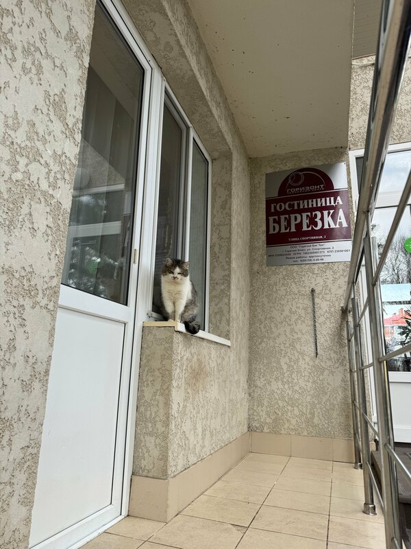 Берёзка — фото 27