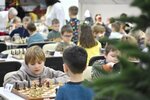 Novosibirsk Region Chess Federation (Michurina Street, 10), sports association